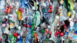 Plastik der ganzen Welt_gepresste Plastikflaschen